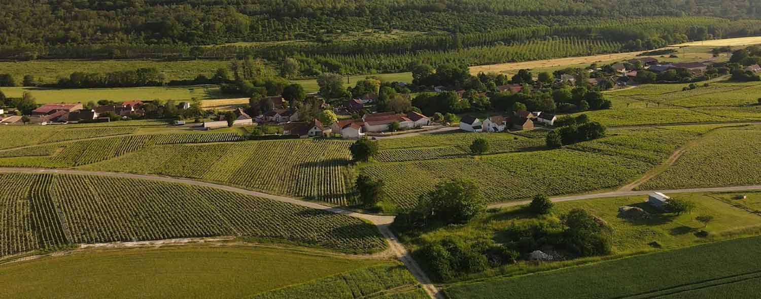 Terroir du champagne Fleur Émile